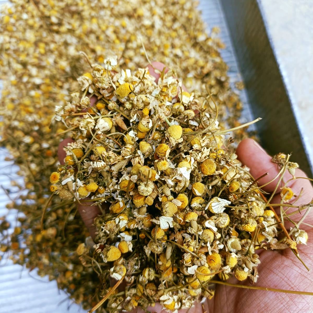 Chamomile Tea - 30gram