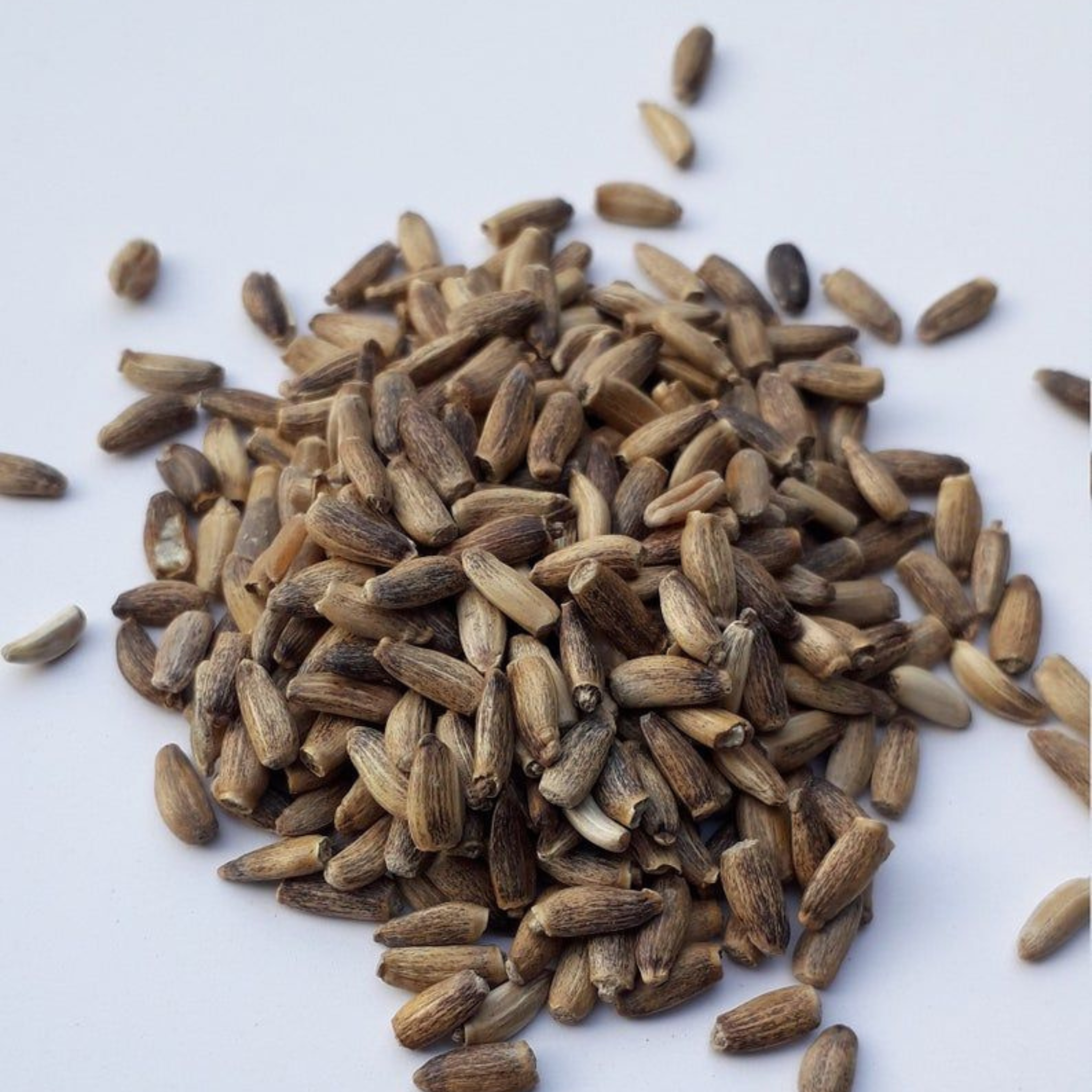 Milk Thistle Seed - 50 gram